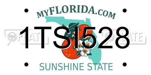 1TSI528 Florida License Plate