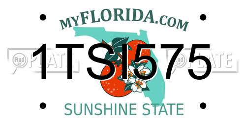 1TSI575 Florida License Plate