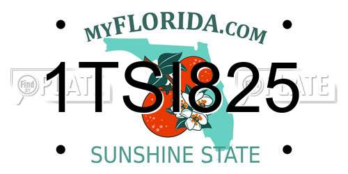 1TSI825 Florida License Plate