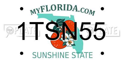 1TSN55 Florida License Plate