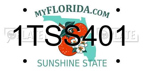 1TSS401 Florida License Plate