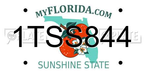1TSS844 Florida License Plate