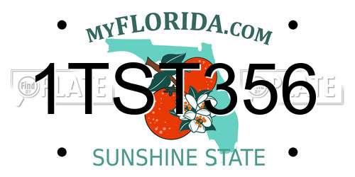 1TST356 Florida License Plate