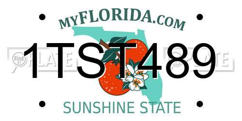 1TST489 Florida License Plate
