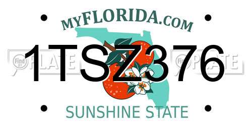 1TSZ376 Florida License Plate