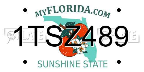 1TSZ489 Florida License Plate