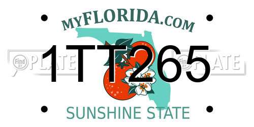 1TT265 Florida License Plate