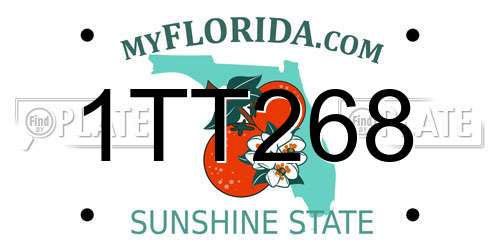 1TT268 Florida License Plate