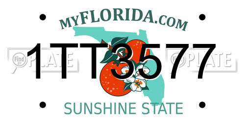 1TT3577 Florida License Plate