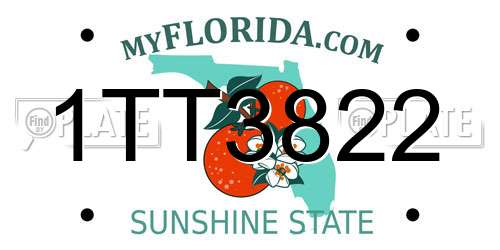 1TT3822 Florida License Plate