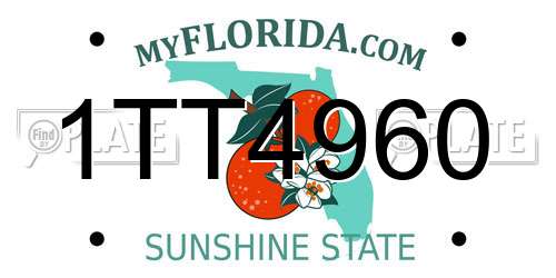 1TT4960 Florida License Plate