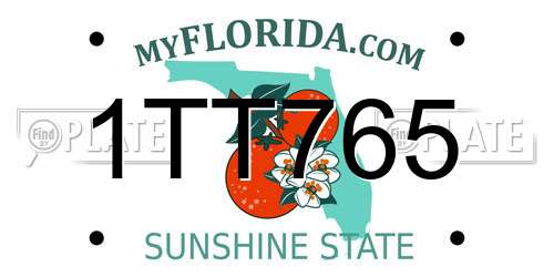 1TT765 Florida License Plate