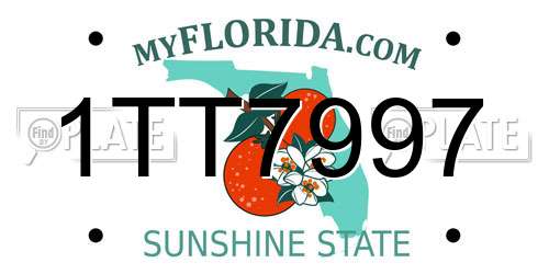 1TT7997 Florida License Plate