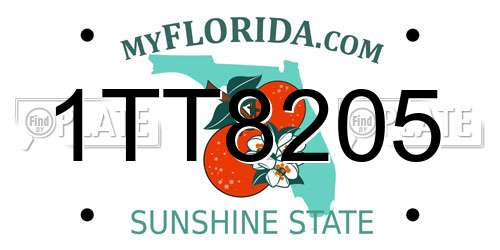 1TT8205 Florida License Plate