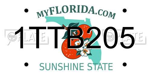 1TTB205 Florida License Plate
