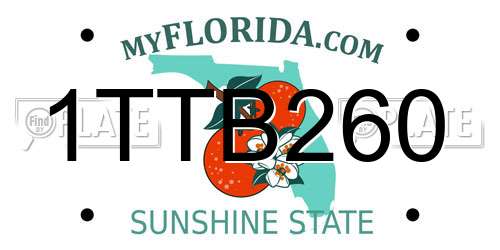 1TTB260 Florida License Plate