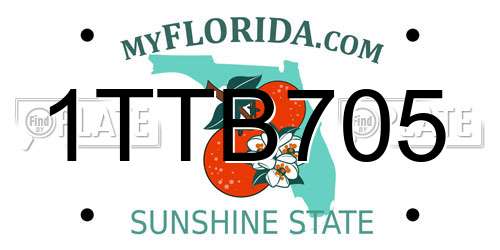 1TTB705 Florida License Plate