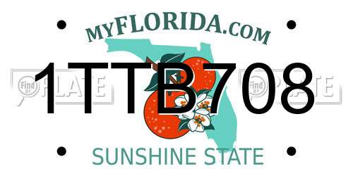1TTB708 Florida License Plate