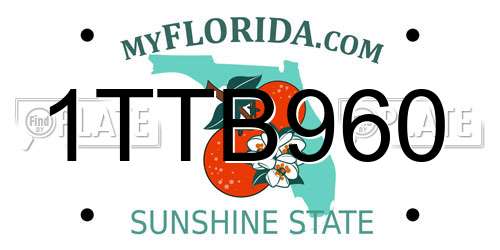 1TTB960 Florida License Plate