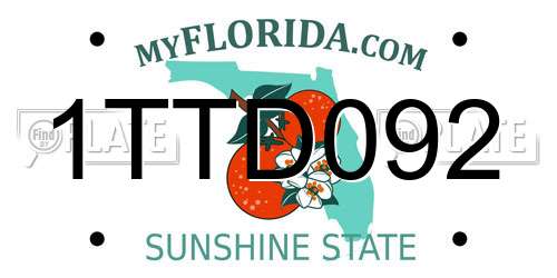 1TTD092 Florida License Plate
