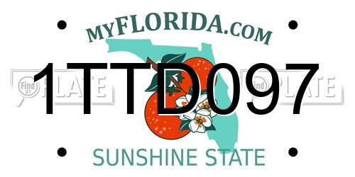 1TTD097 Florida License Plate
