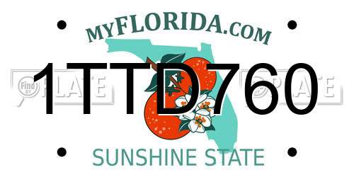 1TTD760 Florida License Plate