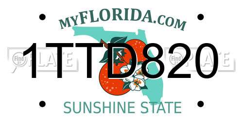 1TTD820 Florida License Plate