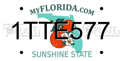 1TTE577 Florida License Plate