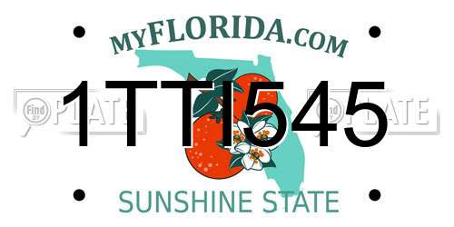 1TTI545 Florida License Plate