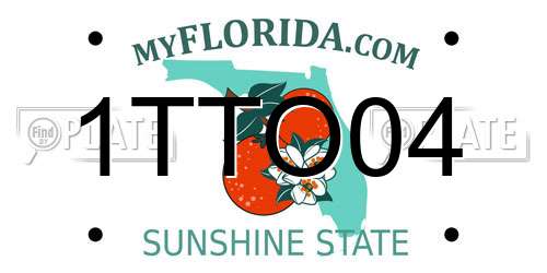1TTO04 Florida License Plate