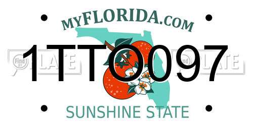 1TTO097 Florida License Plate