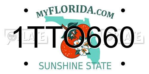 1TTO660 Florida License Plate