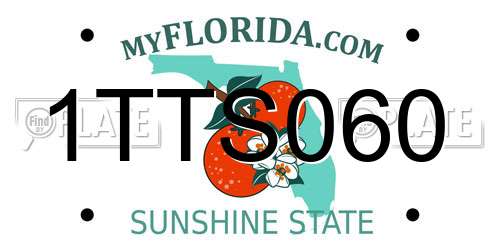 1TTS060 Florida License Plate