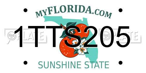 1TTS205 Florida License Plate