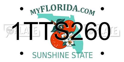 1TTS260 Florida License Plate
