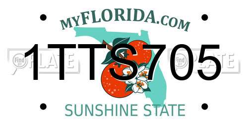 1TTS705 Florida License Plate