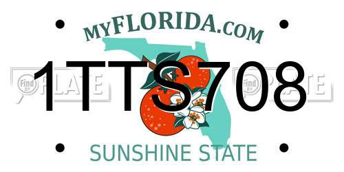 1TTS708 Florida License Plate