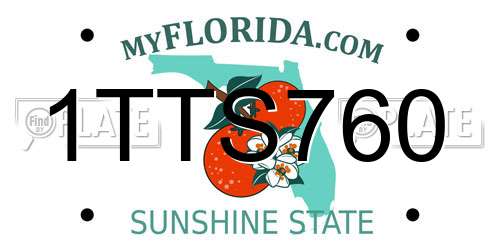 1TTS760 Florida License Plate