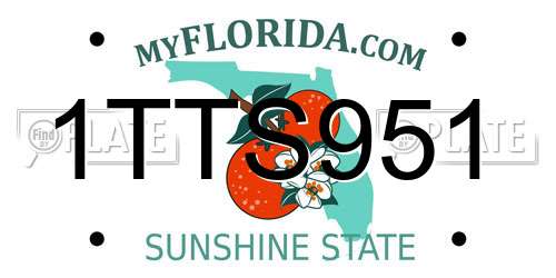 1TTS951 Florida License Plate