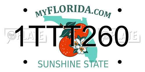 1TTT260 Florida License Plate