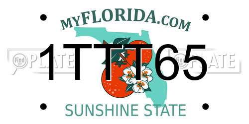 1TTT65 Florida License Plate