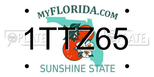 1TTZ65 Florida License Plate