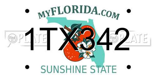 1TX342 Florida License Plate