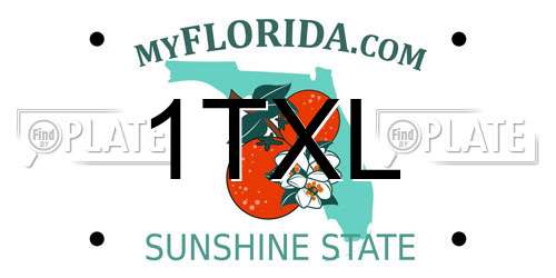 1TXL Florida License Plate