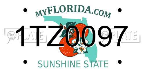 1TZ0097 Florida License Plate