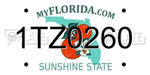 1TZ0260 Florida License Plate