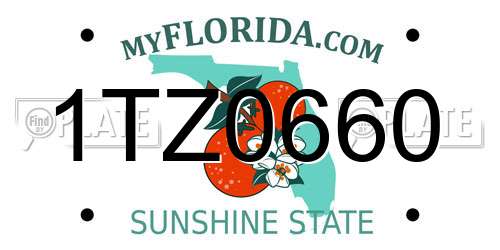 1TZ0660 Florida License Plate