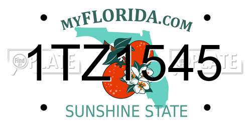 1TZ1545 Florida License Plate