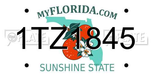 1TZ1845 Florida License Plate