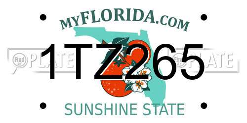 1TZ265 Florida License Plate